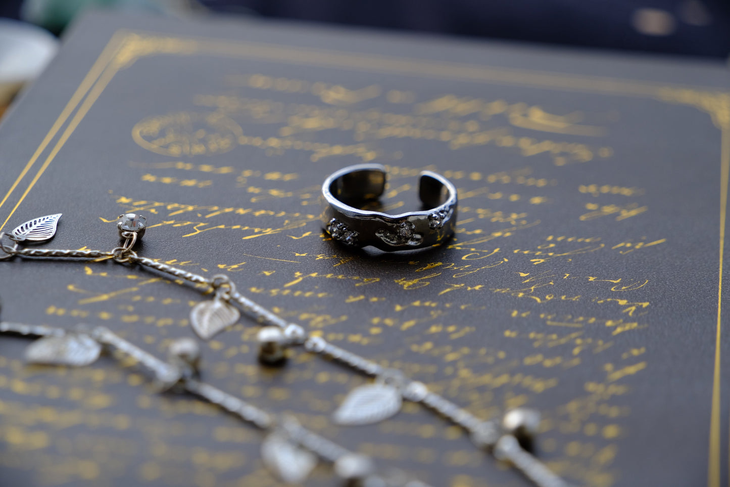 Chapter I – “Echo of Stone”